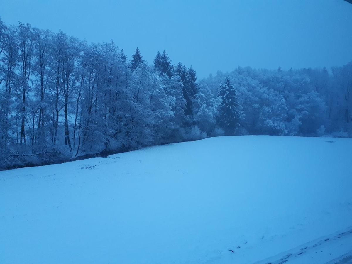 Fewo Hof Elbbachtal Westerburg  Luaran gambar